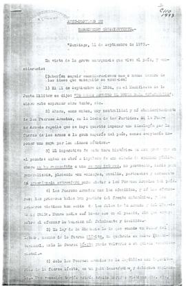 Ante proyecto de resolución constituyente