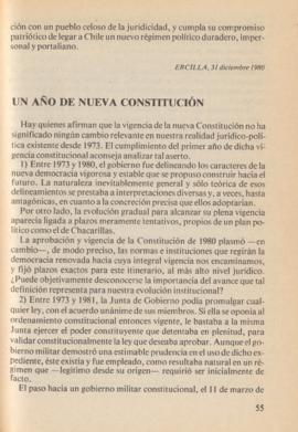 Columna en Ercilla. Un año de nueva Constitución