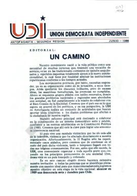 Boletín Informativo UDI Antofagasta