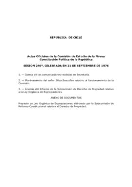 Actas Comisión Constituyente VIII